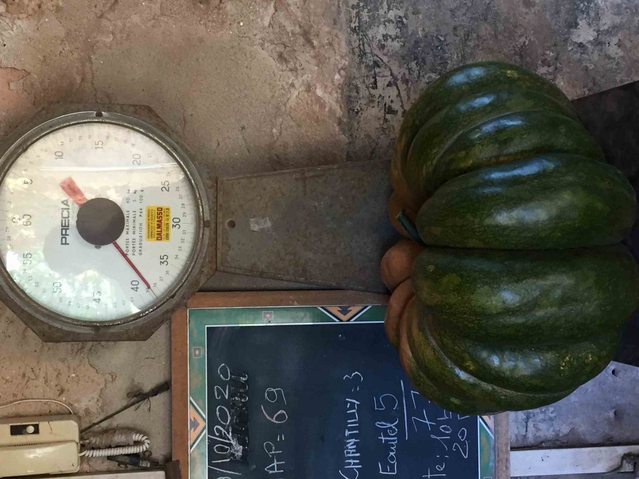 courge muscade record poids