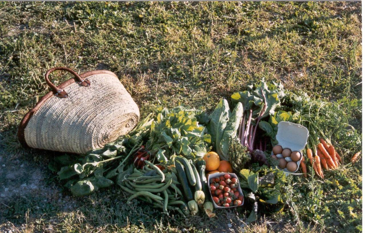 panier de legumes